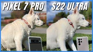 Pixel 7 Pro vs Galaxy S22 Ultra Camera Comparison