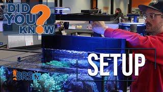 Reef Tank Lighting Is CRITICAL. 10 Tips to Set Up Aquarium Lights for Coral Success!