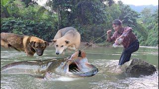 Poor Vietnamese girl and two smart dogs go fishing for a living - ha thi muon