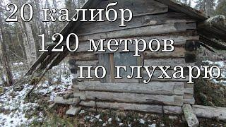 Шок!Подстрелил глухаря с 120м с вертикалки,ночь в избе,не пуганные глухари.