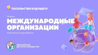 Модуль "Международные организации и объединения"