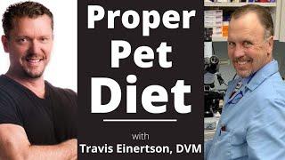 Is Kibble BAD for Cats/Dogs?? [Best Pet Food] Travis Einertson, DVM