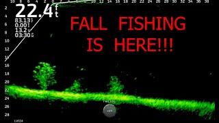 Fall Fishing Is Here!!!  (47 Catches In One Day)!!!   Full-Screen LiveScope Footage!!!  Trip #22