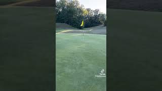 This is just awesome from @birdiehouses on TikTok         #golf #golfislife #golfaddict