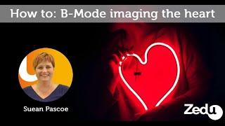 How to: B-Mode ultrasound & imaging the heart - Zedu POCUS Coaching Corner - 7 October 2021