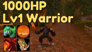 1000 HP Lv1 Warrior - WoW Classic