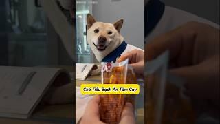 Ăn Vụng Que Cay Trước  Ông Thầy Ma Mị #emthocreview #shorts #trend #viral #hàihước #giảitrí