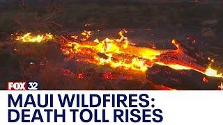 Maui wildfire: Death toll rises to 53; thousands race to escape