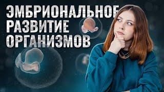 Эмбриональное развитие организмов | Биология ЕГЭ для 10 класса | Умскул