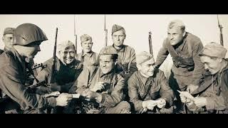 Берестяные грамоты (отрывок из фильма "Чехов" цикла фильмов "Мифы о берёзах")