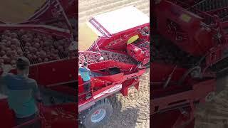 Grimme EVO 290 AIRSEP #rowshow #grimme #evo290airsep