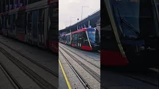 Sydney Trams !! #instagram #trams#train#travel #instatravel #sydney #australia