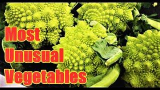 Top 10 Most Unusual Vegetables