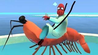 Shrimp Rider Crab O_O?