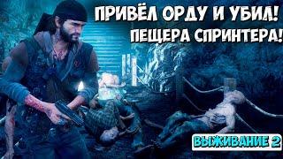 ПЕЩЕРА СПРИНТЕРА! Привел туда Орду и убил! #daysgone #жизньпосле #ордафрики #пещераспринтера