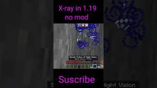 Minecraft 1.19 x-ray glitch #shorts #warriorclasher @steveee01 @Bebu