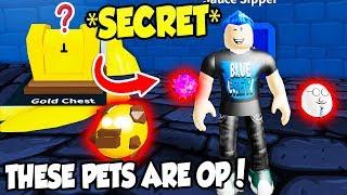 I GOT THE 3 SECRET PETS IN HOT SAUCE SIMULATOR AND THEY ARE INSANELY OP!! (Roblox)