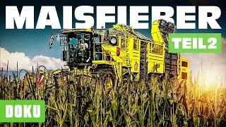 Maisfieber Moderne Erntetechnik im Einsatz - Teil 2 (HIGH-TECH LANDWIRTSCHAFT, MEGA-ERNTE, MAIS)