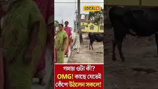 Bangla News:গঙ্গায় ওটা কী? OMG! কাছে যেতেই কেঁপে উঠলেন সকলে!কী দেখা গেল জানেন? Ganga #Local18Shorts