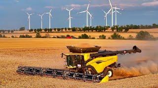 New Holland CR 11 with 50 ft MacDon Cutting unit during the barley harvest , Raw Sound, 4K UHD