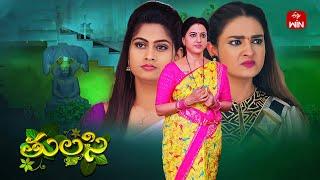 Thulasi | 5th November 2024 | Full Episode 258 | ETV Plus