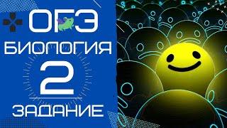 ОГЭ Биология 2020. Задание 2 Рохлов