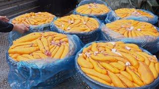 Amazing Mullet Roe Harvesting！Luxurious Fish Roe Making, Fried Mullet Roe
