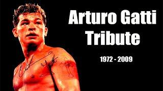 Arturo Gatti Highlights & Knockouts - The Thunder (Tribute)