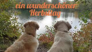 Herbsttag am Badesee mit Miles & Holly