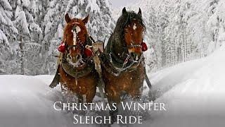 Celtic Christmas Carols, Soft Holiday Christmas Music "Snowy Winter Sleigh Ride" by Tim Janis