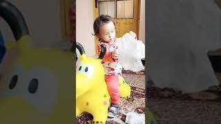 Denisa prented playing dog toys ll