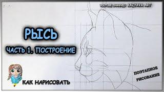 Как нарисовать голову обыкновенной РЫСИ карандашом. Часть 1. Построение. Мастер-класс с объяснениями