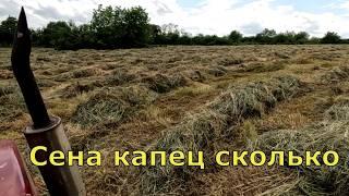 ЦЕНА СЕНА.  Хорошо иметь домик в деревне.