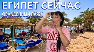 Египет 2024. КАК вам ТАКОЕ⁉️БЮДЖЕТНЫЙ на ПЕРВОЙ линии МОРЕ и ПЛЯЖ. Bella Vista 4*. Хургада сейчас