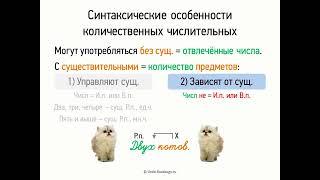 Синтаксические особенности количественных числительных (6 класс, видеоурок-презентация)