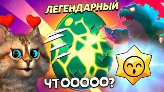 НУБ и ПОЛНЫЙ НУБ в BRAWL STARS