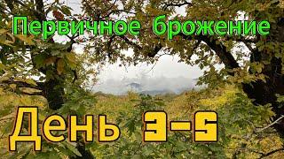 Жизнь в грузинской деревне/дом тети Чачи/первичное брожение/день 3-5/#грузия #вино