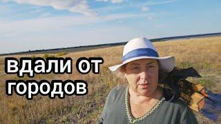 ВЕРНУЛАСЬ из  КРЫМА,а тут... сын купил 100 коз 89608709467