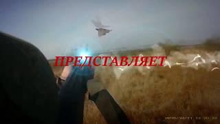 (18+) КАМЫШОВЫЙ ЗАЯЦ... ОХОТА НА ЗАЙЦА (декабрь) 2016...Hunting 2016 for fur-bearing animals...