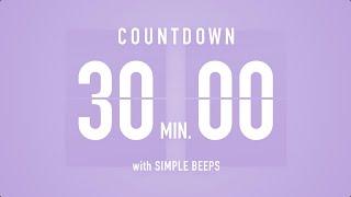 30 Min Countdown Flip Clock Timer / Simple Beeps 🫐 