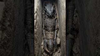 They Found a Creature Inside a Sarcophagus