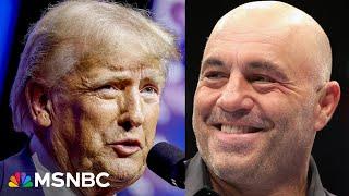 One of the guys? How Trump is trying to sway young male voters with Joe Rogan