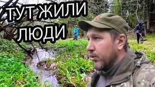 КОП НА ПОЛЯНКЕ В ЛЕСУ, ГДЕ КОГДА ТО ЖИЛИ ЛЮДИ. ТУР