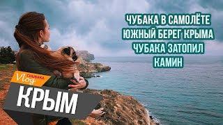 Чубака в Крыму. Chubaka Vlog!