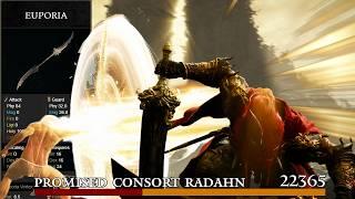 Breaking Elden Ring Only Using Euporia Twinblade!