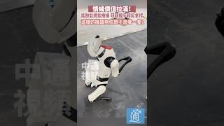 能跑能跳能撒嬌，拜拜握手輕鬆拿捏，這樣的機器狗你想不想養一隻？#機器狗 #科技 #中國 #香港 #撒嬌