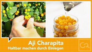 Aji Charapita – Haltbar machen durch Einlegen