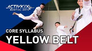 Yellow 1 Belt Core Syllabus   HD 720p