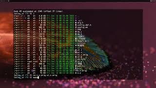 Ligatures patch for st terminal. #suckless #st