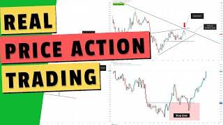 Ultimate free Price Action trading course from pro trader